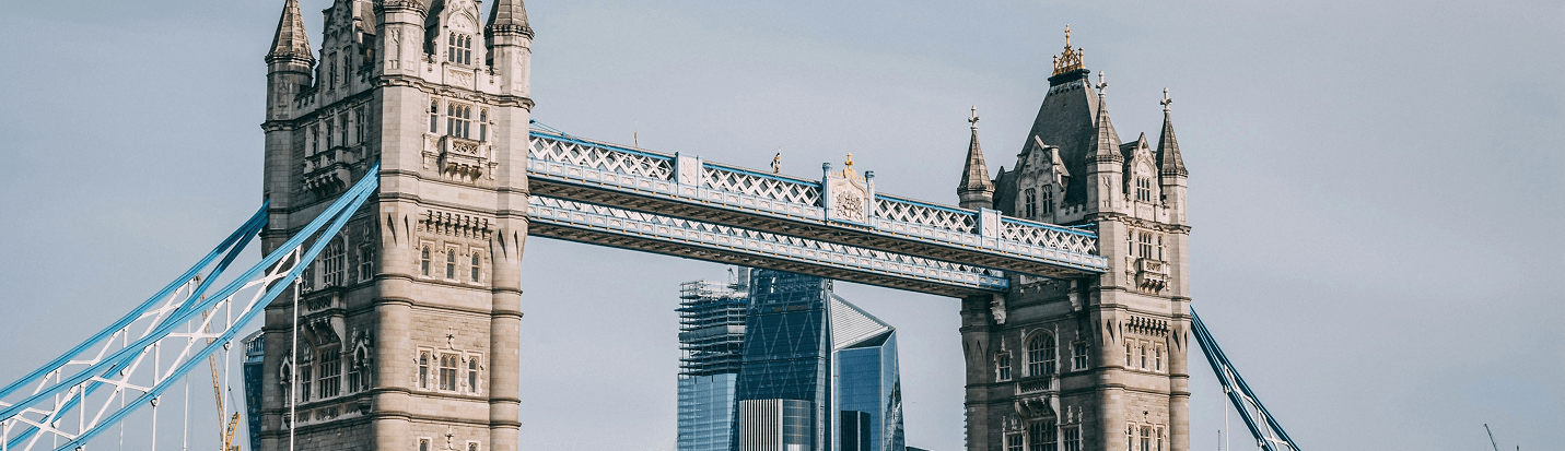 A2Z Immigrants team members